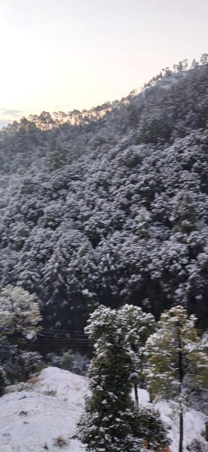 Solitude Inn Bnb Shimla Esterno foto